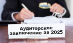Аудиторское заключение за 2025